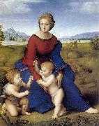 RAFFAELLO Sanzio Madonna of Belvedere oil on canvas